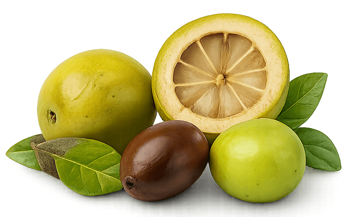 Ucuuba